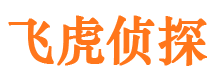 桃城市侦探公司